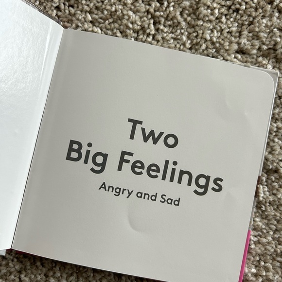 Lovevery Two Big Feelings Happy Either Way (Two Book Bundle) - Picture 10 of 10